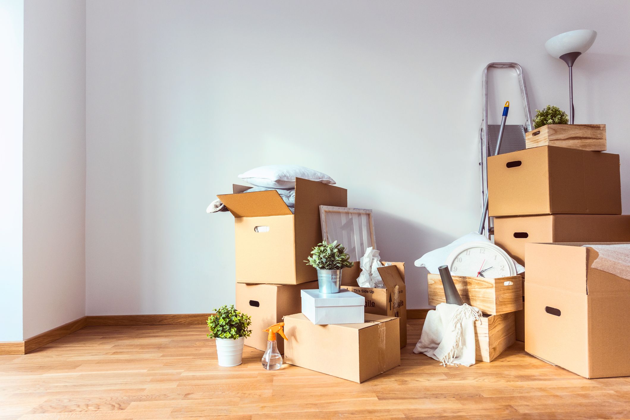 Photo of Professional moving businesses – the right choice!