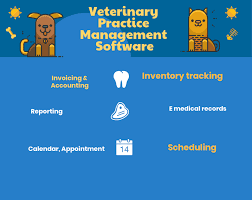 Photo of Advantages of Veterinary Universities cloud software