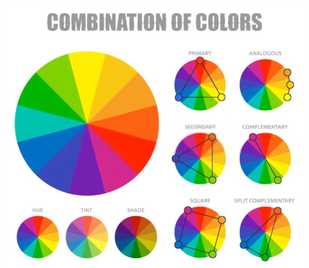 Photo of What Color Is Combined With White? The Classic Color Combination