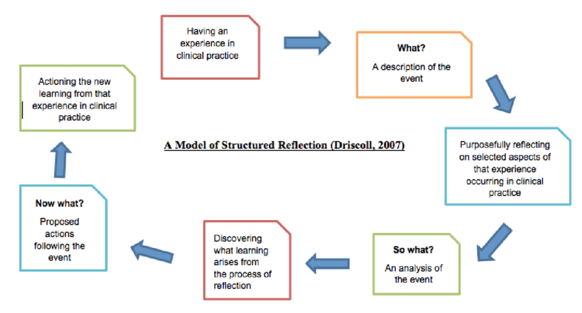 Photo of What is the Driscoll model of reflection?