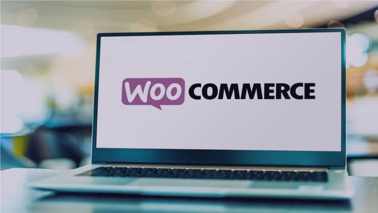 Finest Options Any WooCommerce Web site Ought to Have
