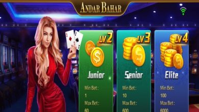 Photo of Andar Bahar Online Game Review‍